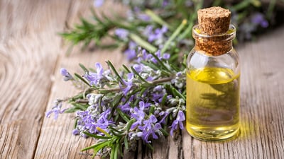 Essential Oils vs. Absolutes