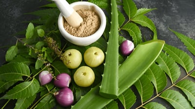 Ayurvedic Pharmacopoeia