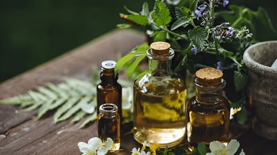 Ayurvedic Pharmacopoeia