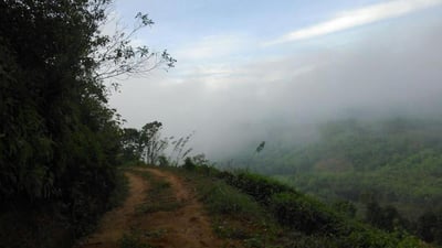 Kalawana
