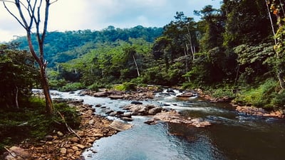 Kalawana