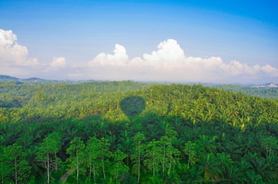 Hot Air Ballooning Tour from Habarana City