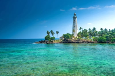 Southern Coast Highlights from Mount Lavinia City