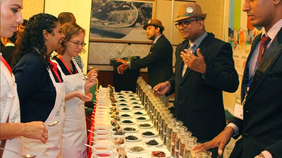 Ceylon Tea Tasting from Colombo City