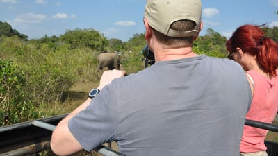 Wilpattu National Park Safari from Dambulla City