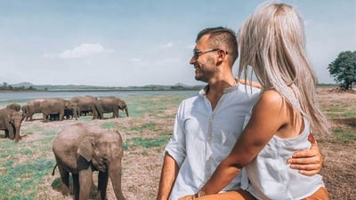 Wilpattu National Park Safari from Dambulla City
