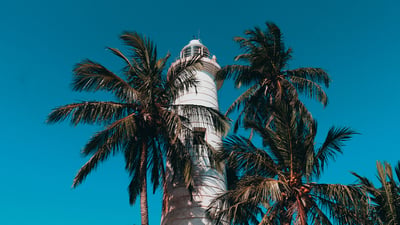 Southern Coast Highlights from Koggala City
