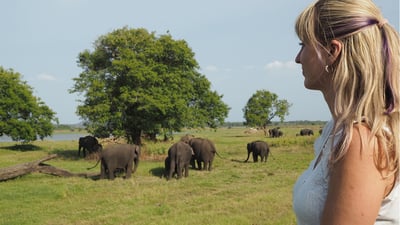 Sigiriya Rock and Wild Elephant Safari from Kandy City