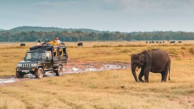 Maduru Oya National Park Private Safari