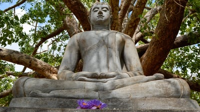 Sigiriya Village Tour and Lunch