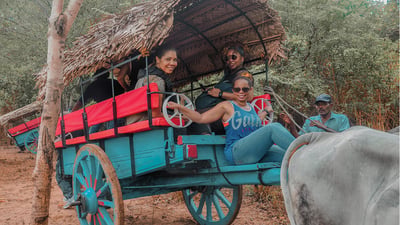 Glamour de Sri Lanka (22 Días)