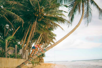 Coastal Ride to Galle from Panadura City