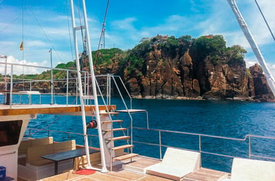 Whale Watching by Yacht from Trincomalee City