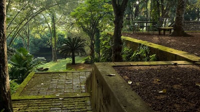 Bentota City Tour from Colombo City