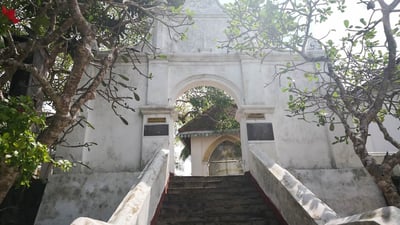 Bentota City Tour from Tangalle City