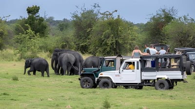 Hurulu Eco Park Private Safari