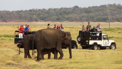 Udawalawe National Park Safari from Galle City
