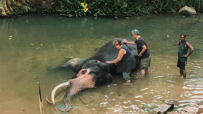 Ramayana Trail (6 Days)