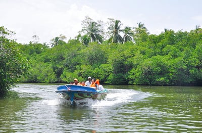 Bentota City Tour from Kalutara City