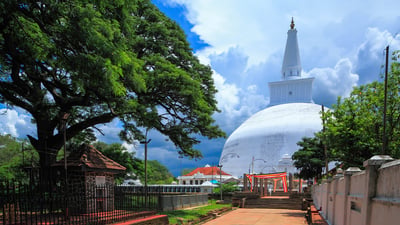 Sigiriya Village Tour and Lunch