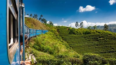 Excursion to Hill Country by Train (5)
