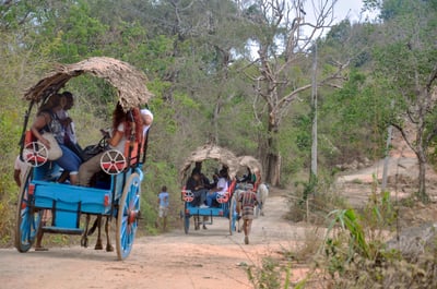 Sigiriya Village Tour from Negombo City