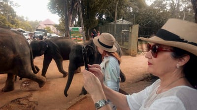 Last Kingdom of Sri Lanka from Colombo (3 Days)