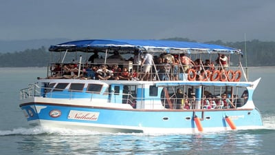 Whale Watching by Shared Boat from Mirissa City
