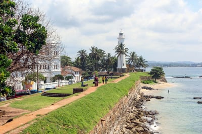 Virgin White Tea Factory and Galle Fort from Colombo City