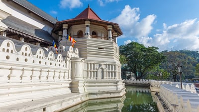 Kandy City Tour from Sigiriya City