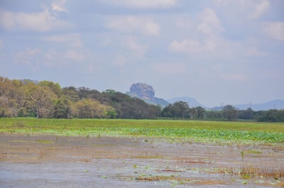 Sigiriya Village Tour from Negombo City