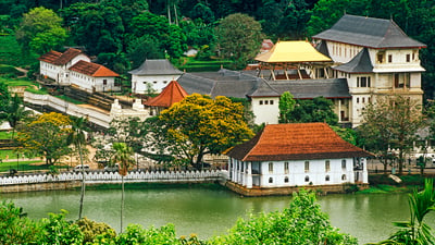Kandy City Tour from Hikkaduwa City