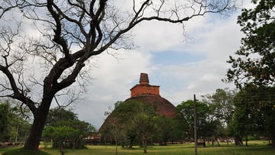 Wilpattu und Anuradhapura von Colombo (2 Tage)