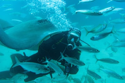 Snorkeling da Bentota City
