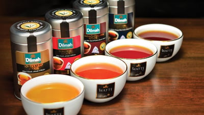 Ceylon Tea Tasting from Colombo City