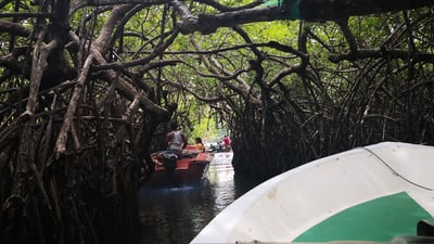 Bentota City Tour from Unawatuna City