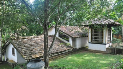 Bentota City Tour from Galle City