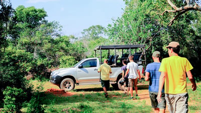 Yala National Park Safari fra Koggala City