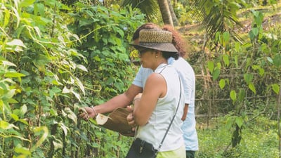 Agro Tour of Sri Lanka (5 Days)