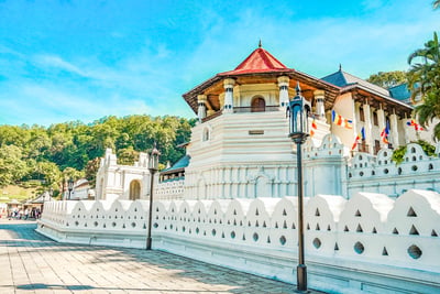 Kandy City Tour from Habarana City