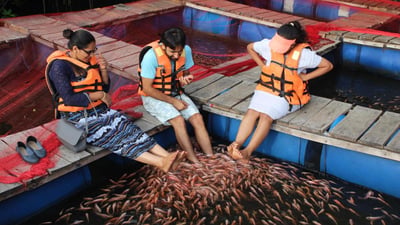 Bentota City Tour from Galle City