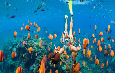 Snorkeling da Bentota City