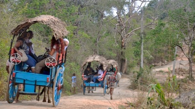 Village Life Tour from Kandy City