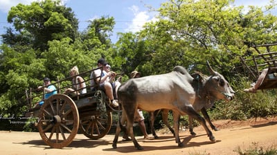 Sigiriya Rock and Village Tour from Colombo City