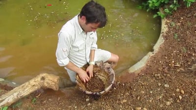 Explore Gem Mines in Ratnapura from Negombo City
