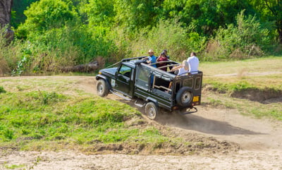 Minneriya National Park Safari from Kandy City
