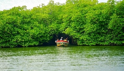 Bentota City Tour from Tangalle City