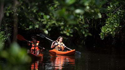 Peddelen op vlak water vanuit Kitulgala City