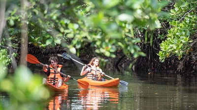 Peddelen op vlak water vanuit Kitulgala City