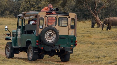 Wilpattu National Park Safari from Dambulla City